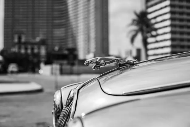 BetRegal Casino Android/iOS App